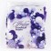 A set of balloons for decorating the photo zone "Lilac", 150 pcs.