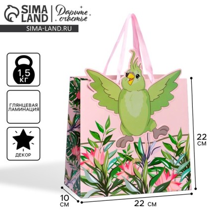 Gift package, packaging, “parrot”, 22 x 22 x 10 cm