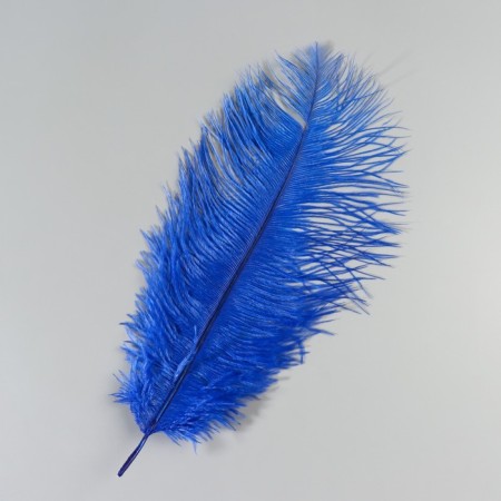 Feather of ostrich 25-30 cm, blue-2