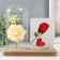 Photo frame 9x13 cm light "White rose in a flask" from batteries 2hlr1130 9.8x19.5x18 cm