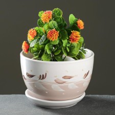 Flower pot 