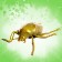 Set of insects "Forest", 8 figures, length 12 cm