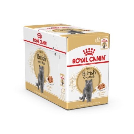 Wet RC food for British cats, sauce, spider, 85 g-2