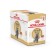 Wet RC food for British cats, sauce, spider, 85 g