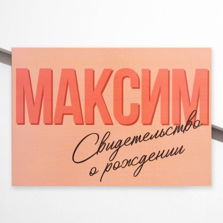 Folder for the birth certificate "Maxim", A5