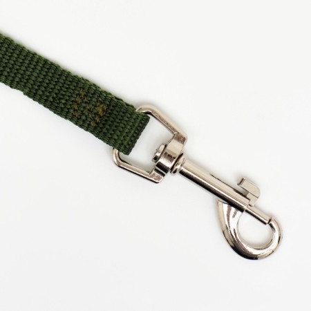 Leash 3 m x 1.5 cm, green-1