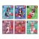 A set of subjects of Calligata Top "magazine", 48 sheets, 10 items, with reference material, covered cardboard, glossy lamination, offset block