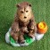 Garden figure "Bear with honey" 29x31x19cm