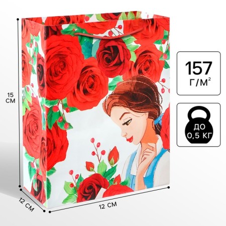 Gift package "Gift for you" 12x15x5.5 cm, packaging, princesses