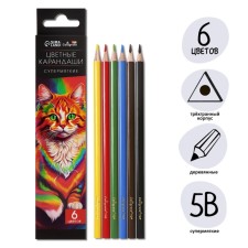 Pencils 6 colors TOP Calligrata, in a cardboard box, neck diameter - 3mm, 5b