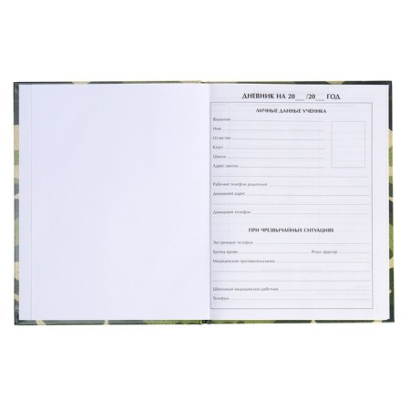 Universal diary for grades 1-11, "khaki", solid cover 7BC, glossy lamination, 40 sheets-5