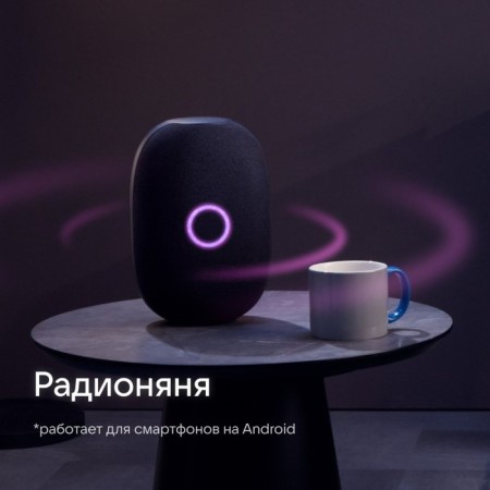 Smart column VK capsule (MRC01BL), voice assistant Maroussia, 30 W, Wi-Fi, BT 5.0, black-8