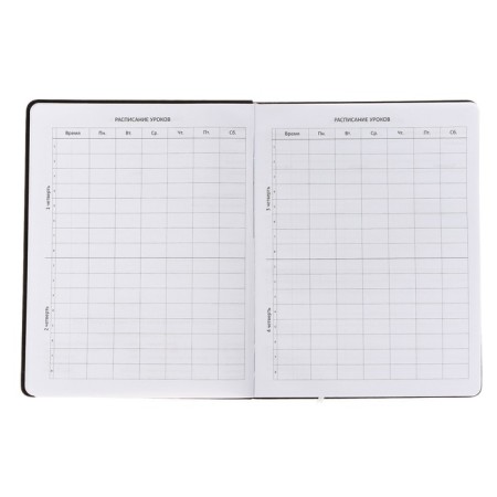 Universal diary for NEVER 1-11 grade, integral cover, artificial leather, application, liesse, 80 g/m2-5