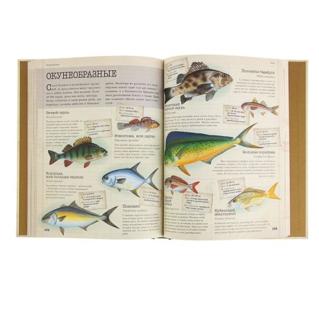 Children's Encyclopedia "Animals". Volcit P.M., Stepanova L.V.-3