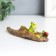 Souvenir Polystone "Frog with a snail on the leaves" 3.5x13.1x3.5 cm