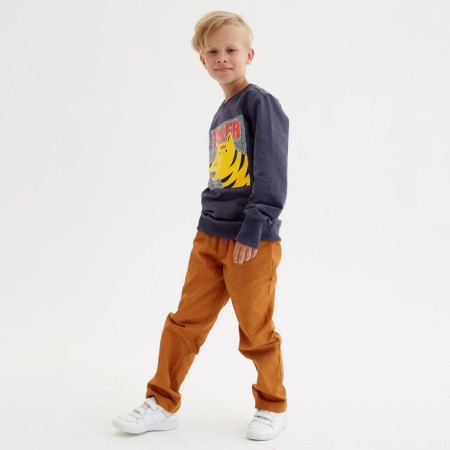 Svitshot for the boy Minaku: Casual Collection Kids Graphite color, height 134-5