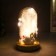 Souvenir Polystone "White Swan" Lumining flask 15.5x9.5x9.5 cm
