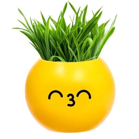A set for experiments, for children “grow grass”, a plant in a pot - Emoji “Kiss”-4
