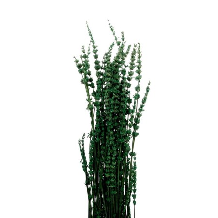 Sukhotzet "narrow -leaved lavender", green, 50 -100 g in packaging-1