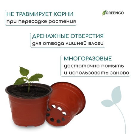 Pot for seedlings, d = 10 cm, h = 8.5 cm, terracotta, Greengo-6