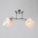 Ceiling chandelier "Lux" 2x40W E27 Color: silver