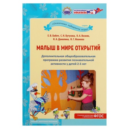 Additional. general image. program. development of a position. Activity in children 2-3 years old "Baby in the world of discoveries"