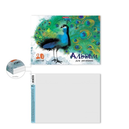 Album for drawing A4, 20 sheets, block 120 g/m², glue, Erich Krause "Birds of Hot Countries", 100% White, solid substrate-1