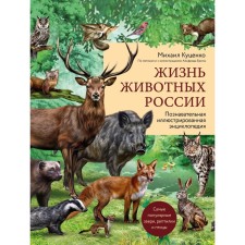 The life of the animals of Russia. Cognitive illustrated encyclopedia. Kutsenko M.