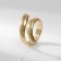 Ring metal "Trend" curl, color gold, size 17
