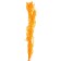 Dry amaranth flowers, 100 g, sheet size: from 50 to 60 cm, orange color