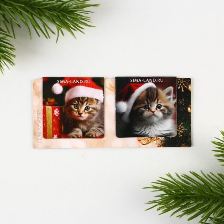 New Year. Bookmarks for books Magnetic 2 pcs on the substrate "Miracles in the New Year!"-4