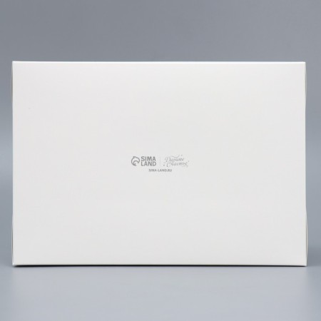 Capcake box "Happy New Year", holography, 23 x 16 x 10 cm, new year-6