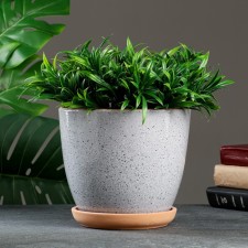 Flower pot 