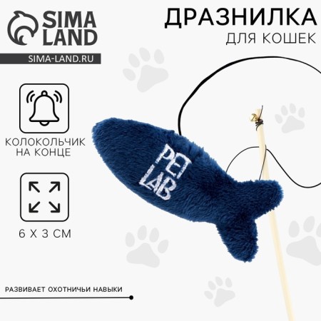Teaser "fish" with a toy, blue