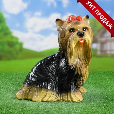 Garden figure "Yorkshire Terrier Singing" Big 30x20x35cm-4