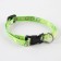 A collar for dogs and cats with Fasteks "Avocado", 30x1 cm