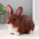 Piggy bank "Rabbit No. 1 Red" height 14 cm, width 10 cm, length 18 cm