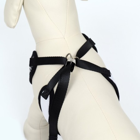 A set with a soft harness with a bow "Cell", L, leash 120 x 1.5 cm, og 35-50 cm, black 96837-3