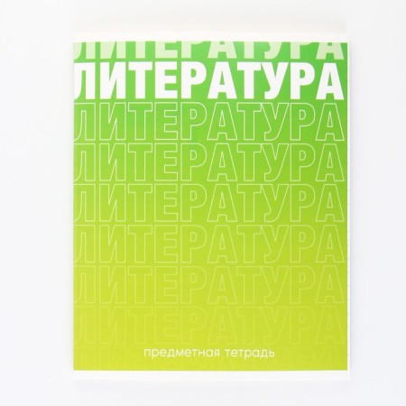 An objective notebook 48 sheets, A5, gradient, with reference materials “September 1: Literature”, cover coated cardboard 230 gr., Inner block in a line of 80 gr., White is 96%, block No. 1.-6