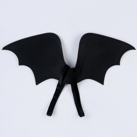 Carnival set of "Dragosha": wings and hat-7