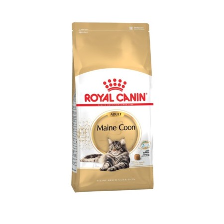 Dry food RC Main Coon for large cats, 2 kg