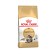 Dry food RC Main Coon for large cats, 2 kg