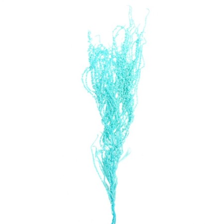 Dry amaranth flowers, 100 g, sheet size: from 50 to 60 cm, blue color-2