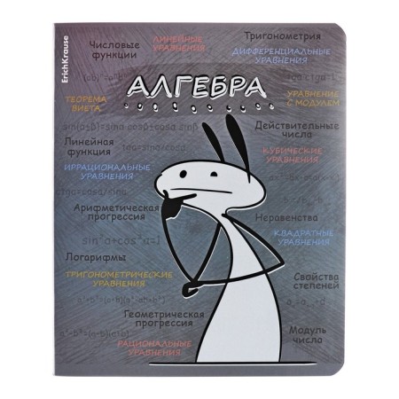 A set of subject notebooks 48 sheets, 12 pieces, Erichkrause "Chubrik", plastic cover silk-screen covers, Blok Offset 100%, information block-14
