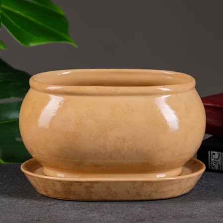 Flower pound tango No. 3 1.1l 15*10*10cm beige-5