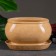 Flower pound tango No. 3 1.1l 15*10*10cm beige