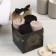 Set of terry towels Ethel Believe in Magic 30x30 cm-4pcs, 100% cotton 340 g/m2