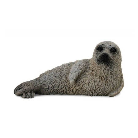 Figure "Cubs of spotted seal"