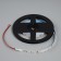 LED strip Uniel Pro 12V, SMD2835, 4 m, IP20, 4.8W/m, 60 LED/m, 6500K