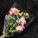 Package for flowers, cone, 7+24*60cm, transparent